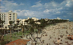 Lummus Park and Beach Miami Beach, FL Postcard Postcard Postcard