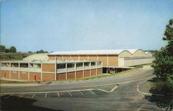 New Physical Education and Intramural Building, North Carolina State College Raleigh, NC Postcard Postcard Postcard