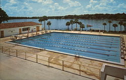 The Alfond Swimming Pool Winter Park, FL Postcard Postcard Postcard