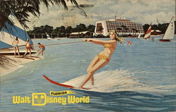 Water Recreation: Walt Disney World Orlando, FL Postcard Postcard Postcard