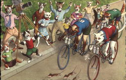 Dressed Cats in Bike Race Dressed Animals Postcard Postcard Postcard