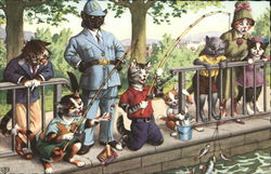 Dressed Cats Fishing Dressed Animals Postcard Postcard Postcard