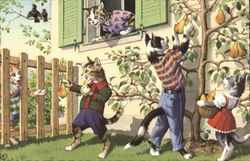 Dressed Cats Picking Pears Dressed Animals Postcard Postcard Postcard