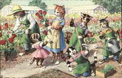 Dressed Cats in the Garden Dressed Animals Postcard Postcard Postcard