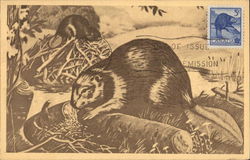 Beavers Building Dam and Home Postcard