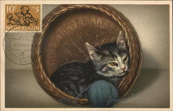 Kitten and Yarn in Basket Netherlands Benelux Countries Postcard Postcard Postcard