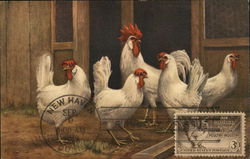 Chickens and Rooster: First Day Cover Maximum Cards Postcard Postcard Postcard