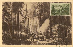 "Among the Pines" - Early Settlers in Nevada Postcard