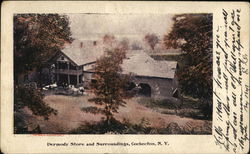 Dermody Store and Surroundings Cochecton, NY Postcard Postcard Postcard