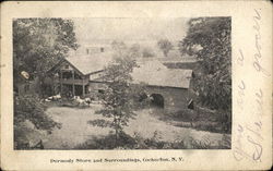 Dermody Store and Surroundings Cochecton, NY Postcard Postcard Postcard