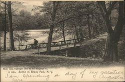 Scene in Bronx Park Postcard