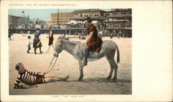 Man on Beach Holding Donkey With Woman Riding Postcard