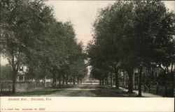 Orange Avenue Postcard