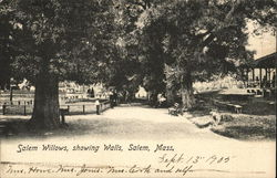 Salem Willows showing Walls Postcard