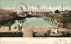 View of Wharf Petaluma, CA Postcard Postcard Postcard