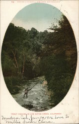 Trout Fishing in Los Gatos Creek California Postcard Postcard Postcard