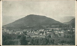 View over Town East Branch, NY Postcard Postcard Postcard