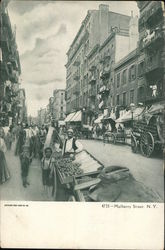 Street Vendor Scene - Mulberry Street Postcard