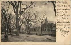 Temple Street and the Green New Haven, CT Postcard Postcard Postcard