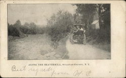 Beaverkill River, Sullivan County Postcard