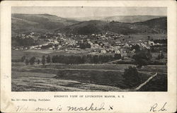 Birdseye View of Livingston Manor Postcard