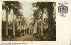 Royal Palms Postcard