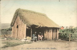 Old Natives and Their Home Postcard