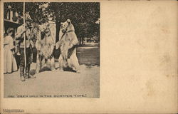 Two Bears Dancing in Street Postcard