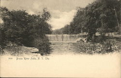 Bronx River Falls Postcard