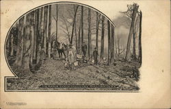 Maple Syrup Industry, Sullivan Co. Postcard