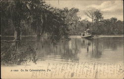 On the Caloosahatchee River Florida Postcard Postcard Postcard