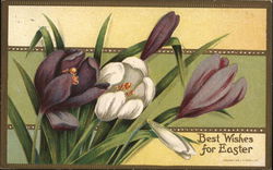 Best Wishes for Easter Flowers Postcard Postcard Postcard