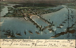 Bird's Eye View of Exposition Postcard