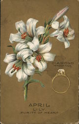 April Bunch of White Lilies Near Diamond Ring Postcard