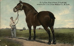 Dr. LeGear, King of Horses Postcard