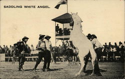 Saddling White Angel Rodeos Postcard Postcard Postcard