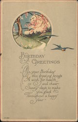 Birthday Greetings - On your Birthday this greeting brings a wish Postcard