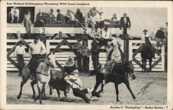 Earl Wolford Bulldogging Wrestling Wild Texas Longhorn Rodeos