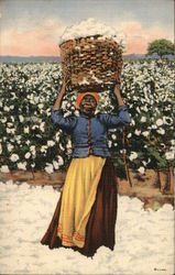 Drying Cotton Postcard