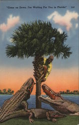 "Come on Down. I'se Waiting For You in Florida Postcard