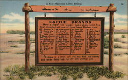 Montana Cattle Brands Sign Postcard