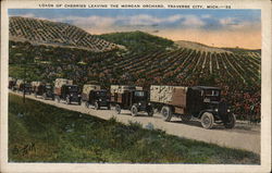 Morgan Orchard - Loads of Cherries Postcard