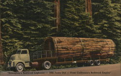 "Straughan's Redwood Loghouse-1900 Years Old-From California's Redwood Empire" Chatsworth, CA Postcard Postcard Postcard