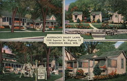 Auerbach's Shady Lawn Postcard