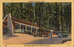 Big Trees Lodge in the Mariposa Grove Postcard