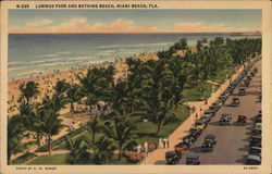 Lummus Park and Bathing Beach Miami Beach, FL Postcard Postcard Postcard