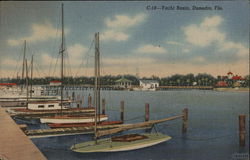 Yacht Basin Water View Dunedin, FL Postcard Postcard Postcard