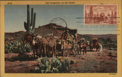 Old Prospector on the Desert Cowboy Western Postcard Postcard Postcard