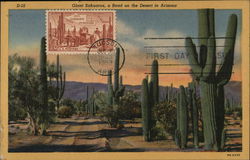 Giant Sahuaros Arizona Postcard Postcard Postcard