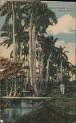 Cuban Landscape Postcard